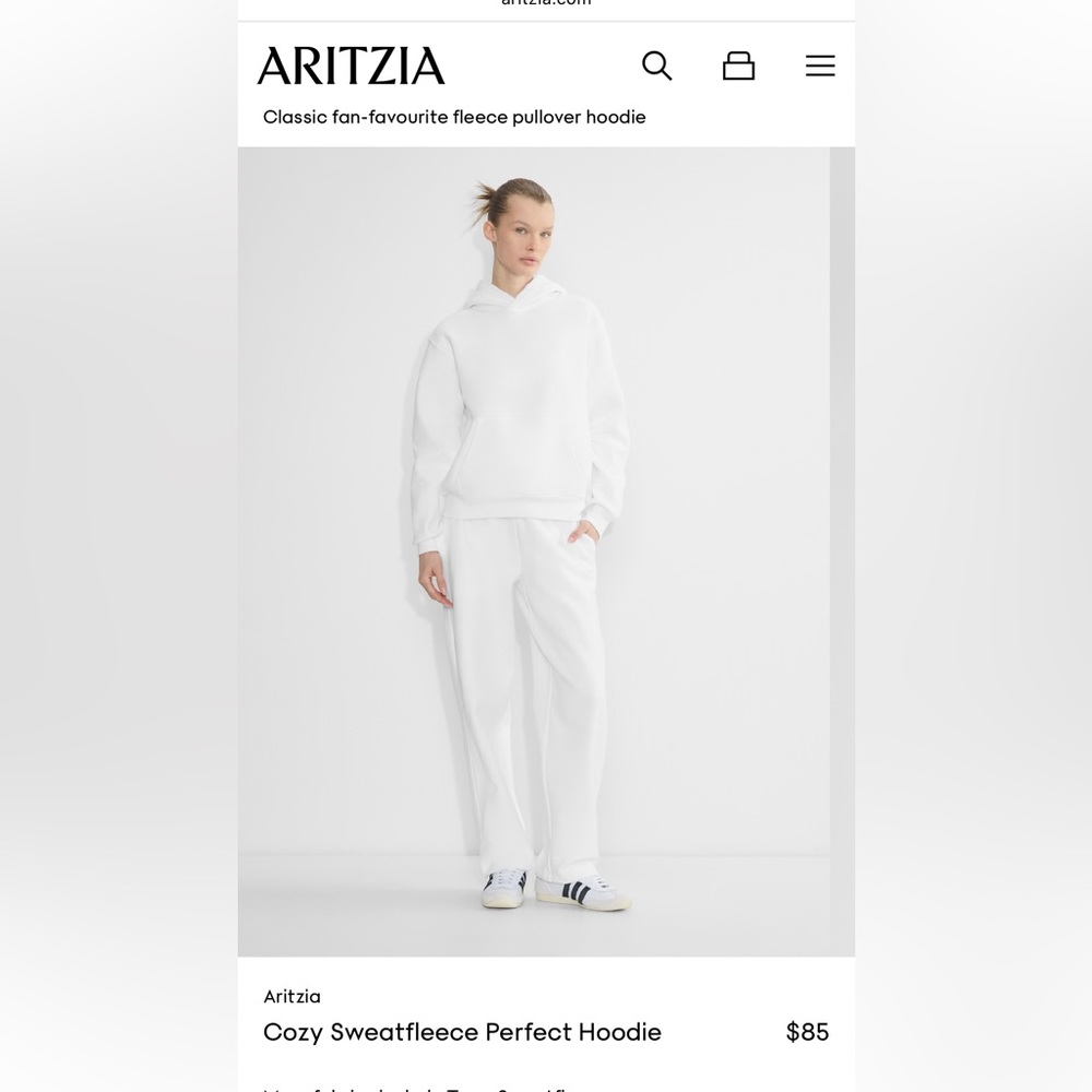 Aritzia TNA OG Classic White Hoodie